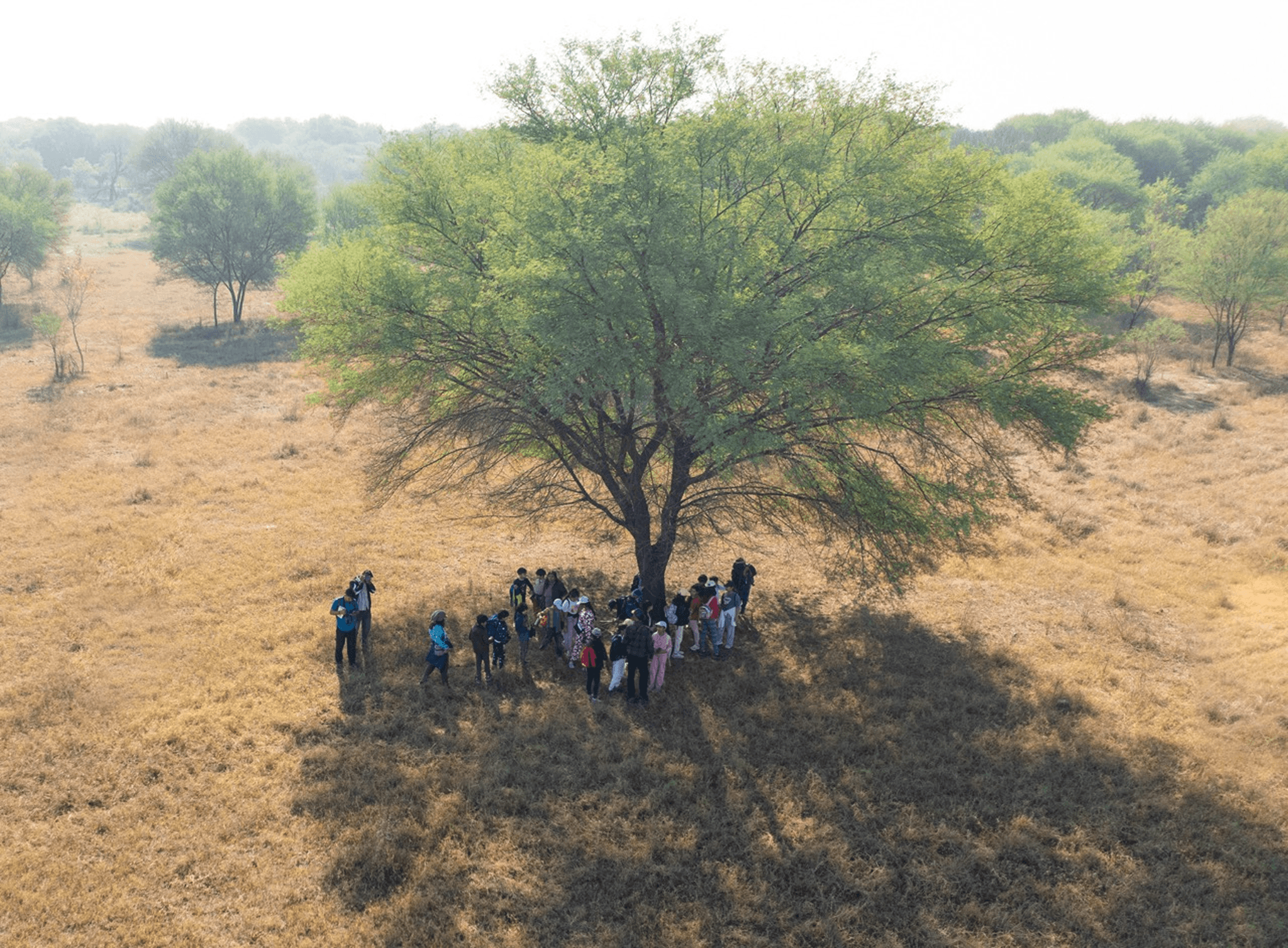 Final Community Image